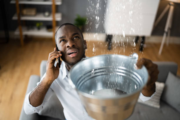 Best Local water damage restoration  in Maltby, WA