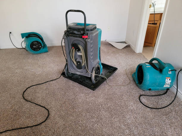Best Water damage restoration company  in Maltby, WA