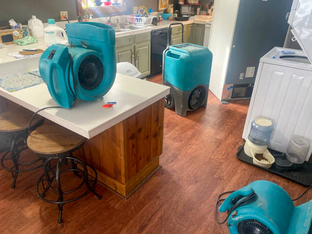 Best Mold removal after water damage  in Maltby, WA