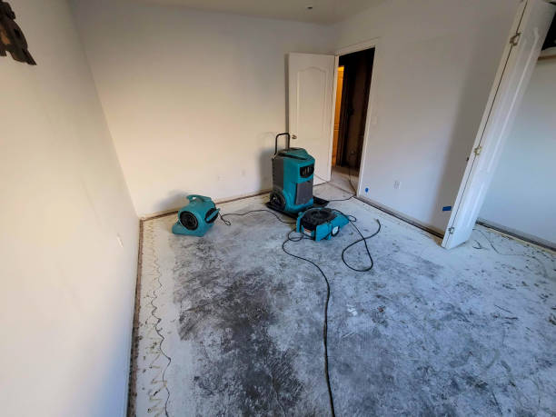 24/7 water damage repair in WA