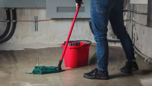 Best Ceiling water damage repair  in Maltby, WA