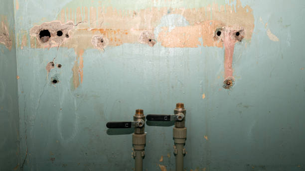 Best Emergency water damage restoration  in Maltby, WA