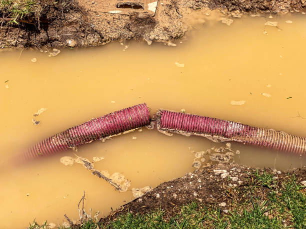 Best 24/7 water damage repair  in Maltby, WA