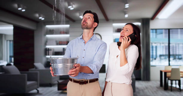 Best Water damage restoration specialists  in Maltby, WA